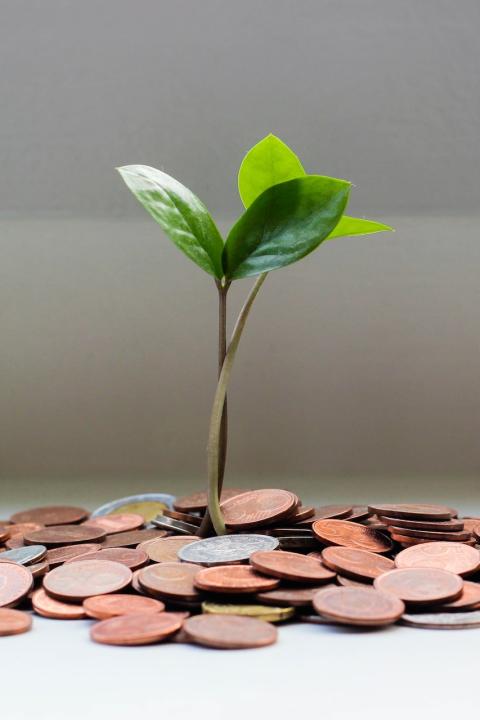 Financial Inclusion